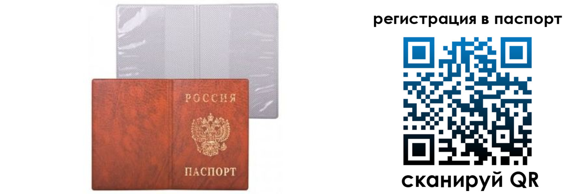 прописка ребенка в Первомайске